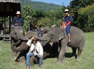 Elephant camp Chiang Mai