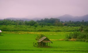 Chiang Rai scenery