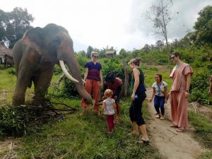 Karen Tribe Native Elephants Camp