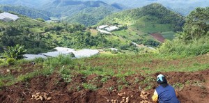 1 Day Hilltribe tour slider 913 453