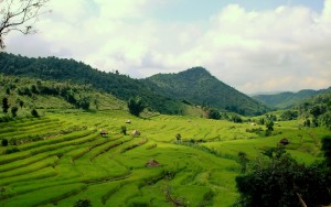 Thailand Hilltribe Holidays scenery 2